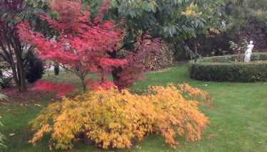 Im schönen Garten - Foto 4