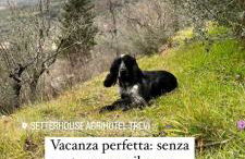 SetterHouseAgriHotel - Photo 18