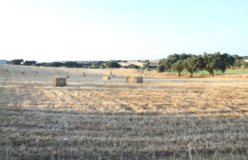 Casa dos Avós - Foto 26