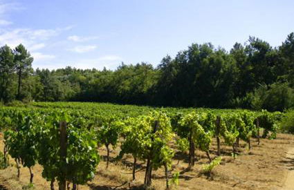 Mas Boudeissoun - Cœur de cerise - Baignade à 600 m - Foto 11