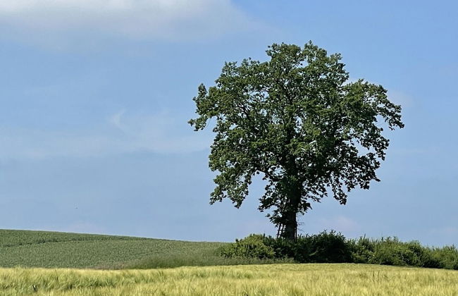 Flat in Eutin on the Kleiner Eutiner See Lake - Photo 23