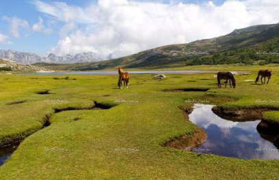 Residence ACQUA LINDA Porticcio - Foto 27