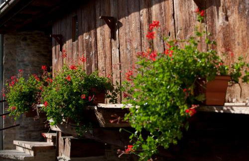 Il Fienile della Nonna - Foto 37