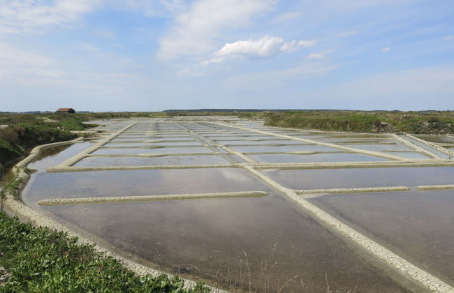 Moulin Bastard - Foto 34