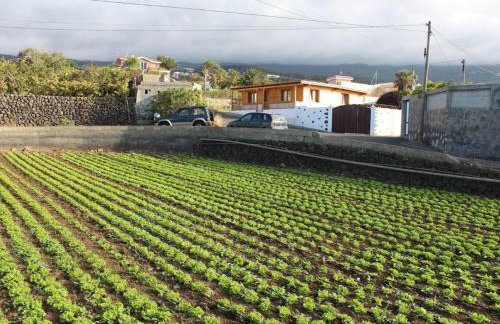 Apartamento las Viñas 1 - Foto 12