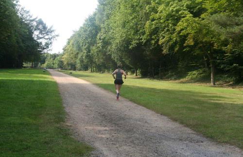 PETITE MAISON de CHARME DANS DOMAINE BOISÉ - Foto 11