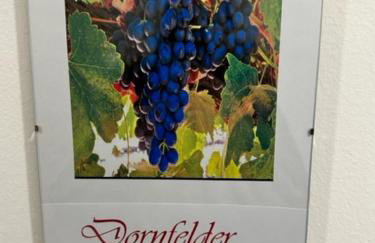 Ferien im Reblaus - Foto 16