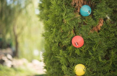 L'Ange : Entre monts et vallées - Foto 42