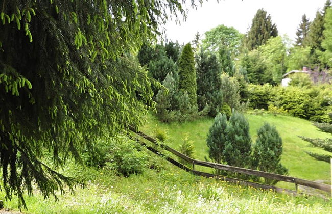 Comely Holiday Home in Guntersberge Near Forest - Foto 61