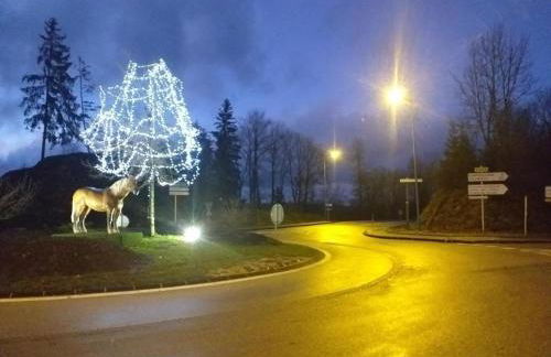 Le Chasseral - Foto 13