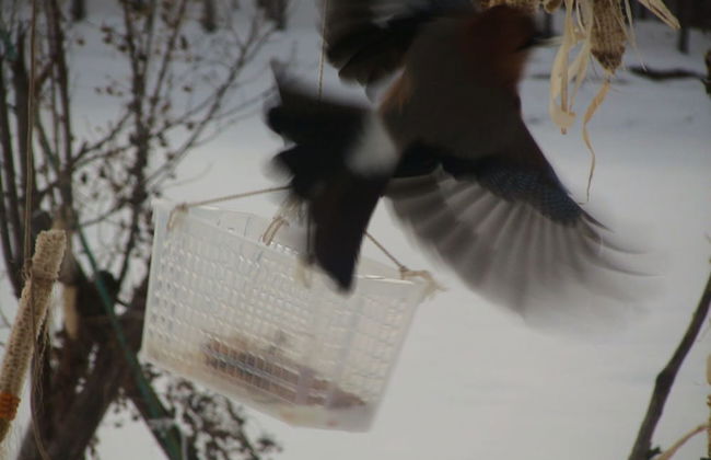 The Sanfurano - Foto 72