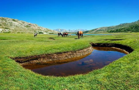 E case di u Puntale - Foto 12