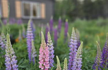 Stunning Mt Rainier Views!tahoma Ridge Cottage - Foto 27