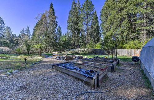 Peaceful Cottage with Grill and Yard in Grass Valley! - Photo 19
