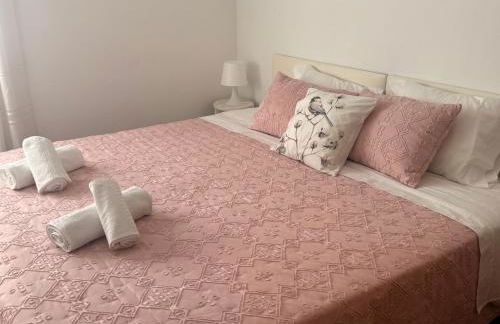 Anjú-Pardal - Foto 24