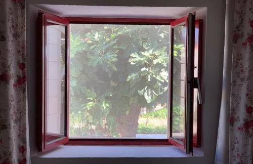 Casa dos Pécoxinhos - Photo 7