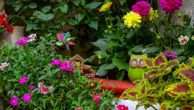 Entrada a los Patios de Córdoba - Foto 3, Flores en un patio de Córdoba