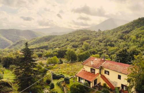 Villa Porcigliano Olive Grove - Foto 53