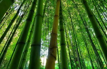 Château du Port Hublé - Foto 65