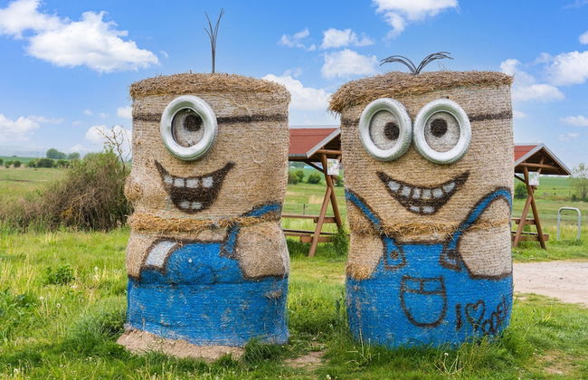 Snug Bungalow in Insel Poel Germany near Beach - Photo 26