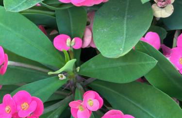 Casa Nuna Modern Loft with Private Garden Terrace - Foto 27