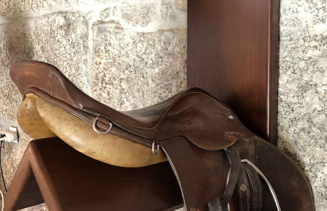 Vila Cavali a in Bustelo - Foto 28