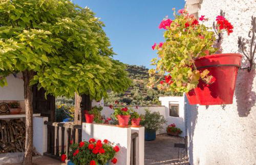 Casa Rural La Ermita - Foto 9