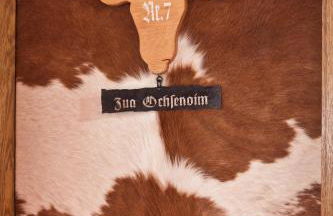 Gasthof Falkenstein - Metzgerei Schwaiger - - Foto 28