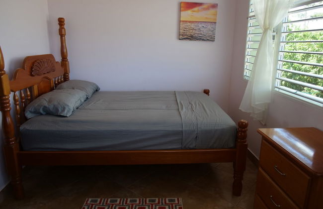 Savannah Sand Dollar - Foto 3