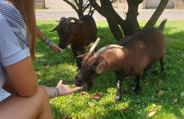 Appartement T3 Goélia - Photo 10