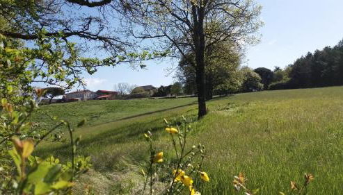 Les hirondelles de montsec - Foto 4