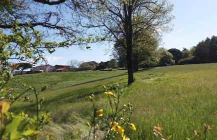 Les hirondelles de montsec - Foto 4