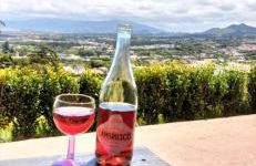 Vila Emigrante - Photo 41