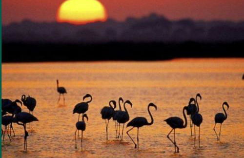 Apartamento Ana Maria - Foto 49