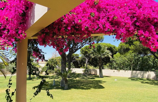 Seventies CIP - Foto 45