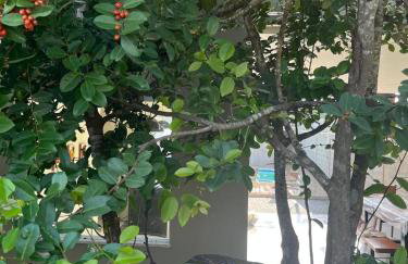 Casa de Praia com Piscina no Pontal do Ipiranga - Foto 31