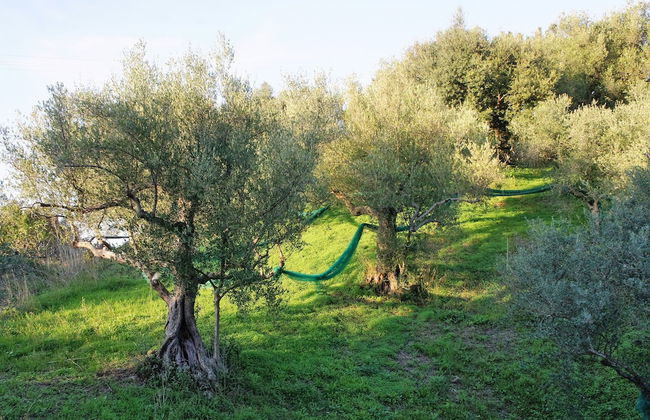 Residence Albarosa - Foto 39