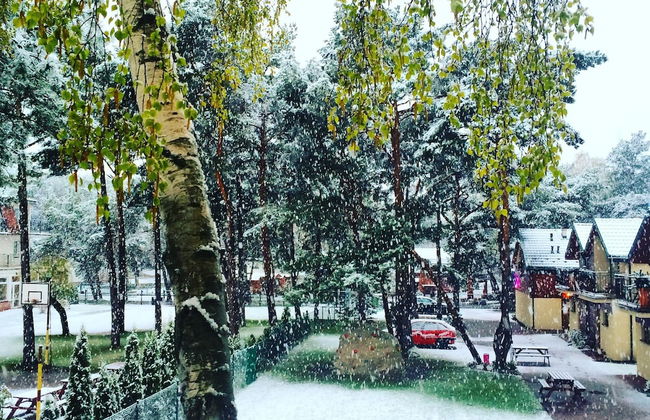 Pelikan Resort - Photo 36