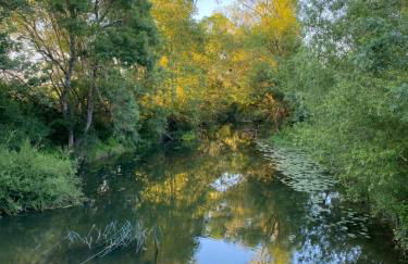 Studio Indre climatisé, La halte de Cuzé, aux abords de la Loire à vélo - Foto 33