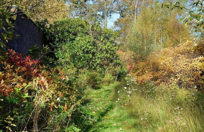 Finnich Cottages - Photo 47