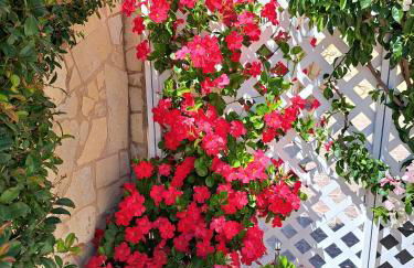 Villa Mariamar - Foto 31