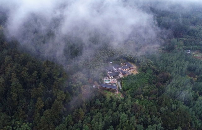 Glass Inn - Photo 28