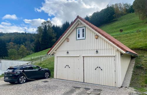 Ferienwohnung GARTENBLICK im HAUS GERLACH - Foto 12