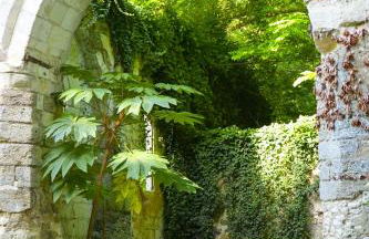 Château du Loroux - Photo 42