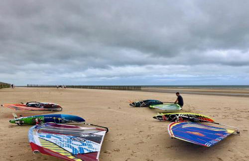 la sardine dorée - Foto 23