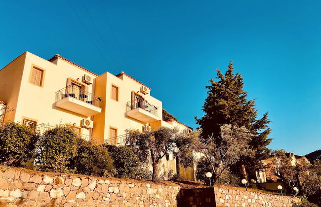 LASSIA STUDIOS - Foto 23