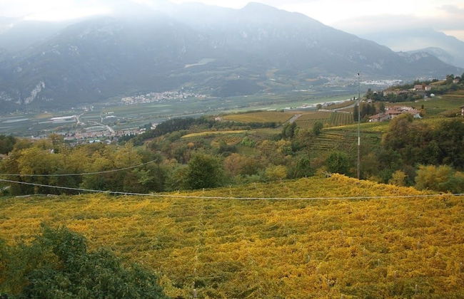 Agriturismo Al Maniero - Photo 39