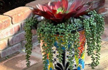 UNIQUE SPANISH HACIENDA HOUSE with POOL VINTAGE 1948 EUROPEAN ANTIQUES ETHNIC ART - Photo 50