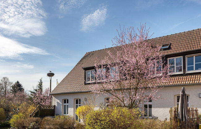 Studio in Buchholz am Mueritzsee - Foto 26