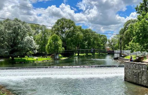 Cool, Retro Getaway in Heart of Downtown - Foto 16